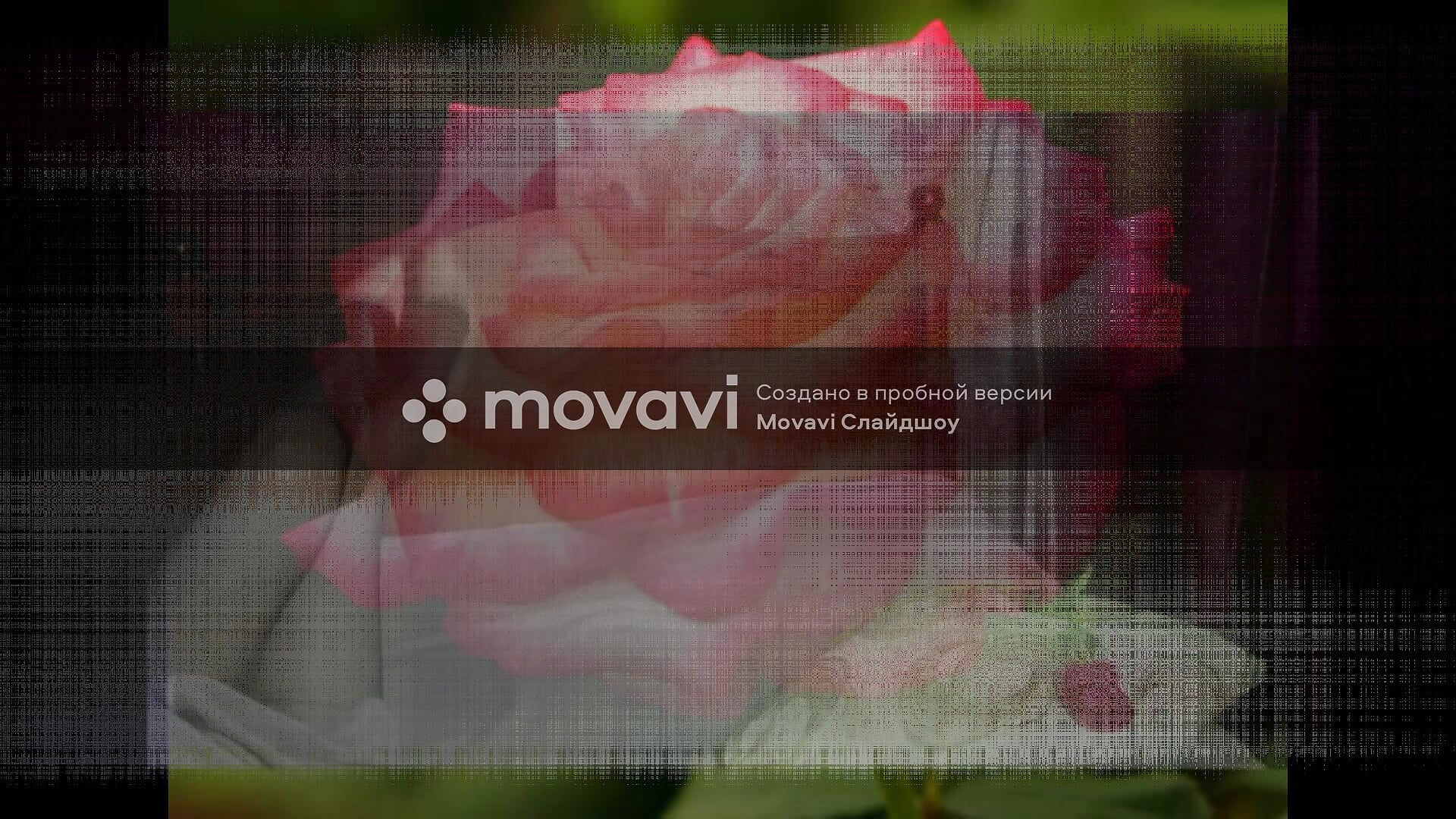 Monti - video by EroGoddes cam model