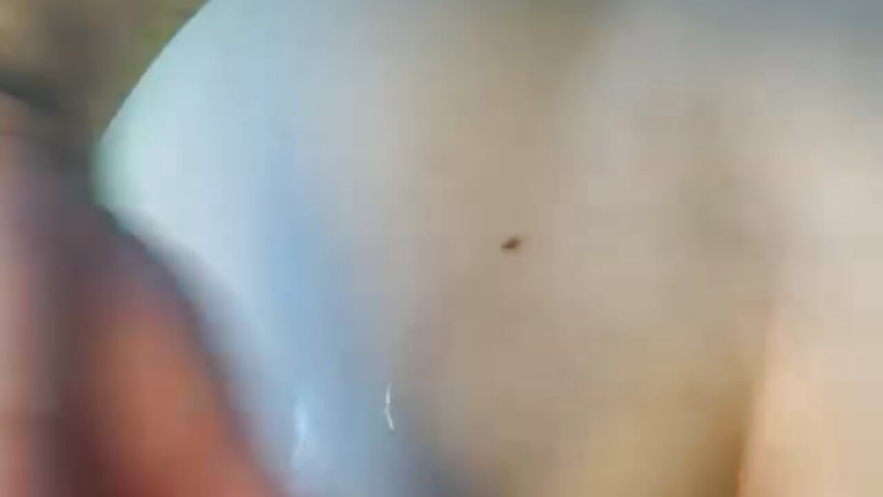 oil in my ass