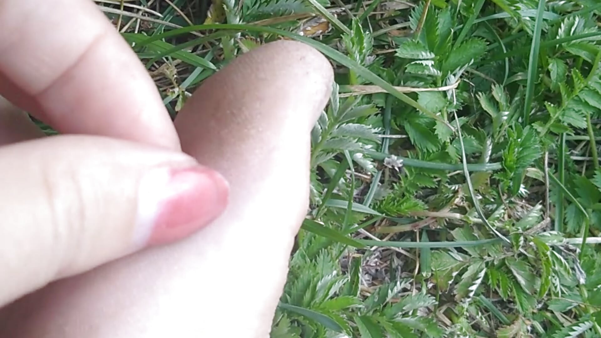 Feet skin on the toes - KiraGoldens主播的视频