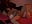 video 3 - video by Pinkie_Princes cam model
