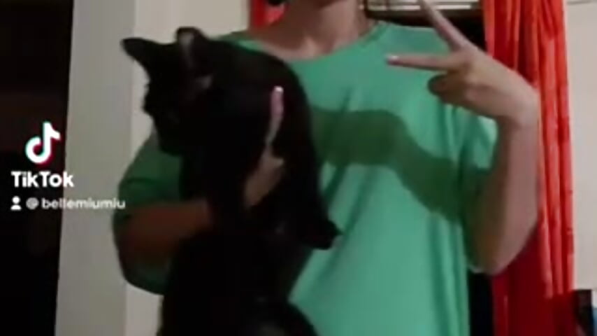 My cats - video by Pinkie_Princes cam model