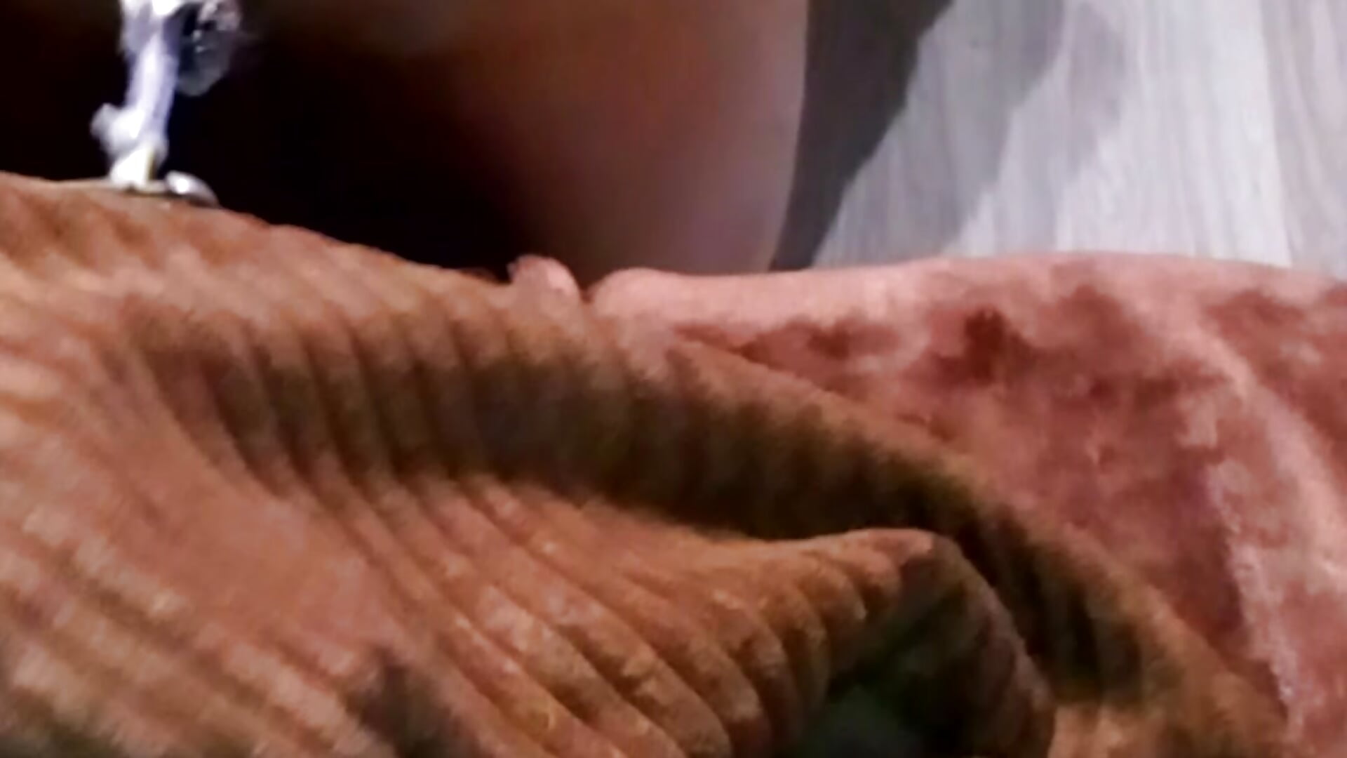 ass - video by ALVARROO666 cam model