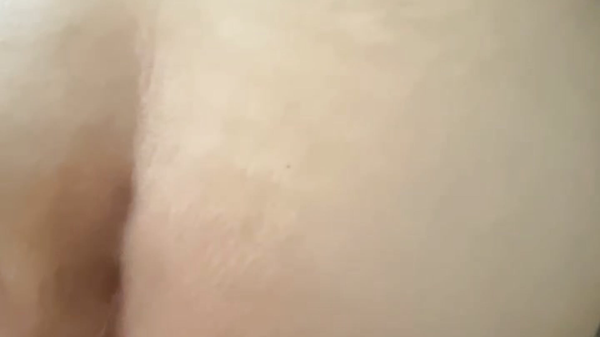 Doggy POV