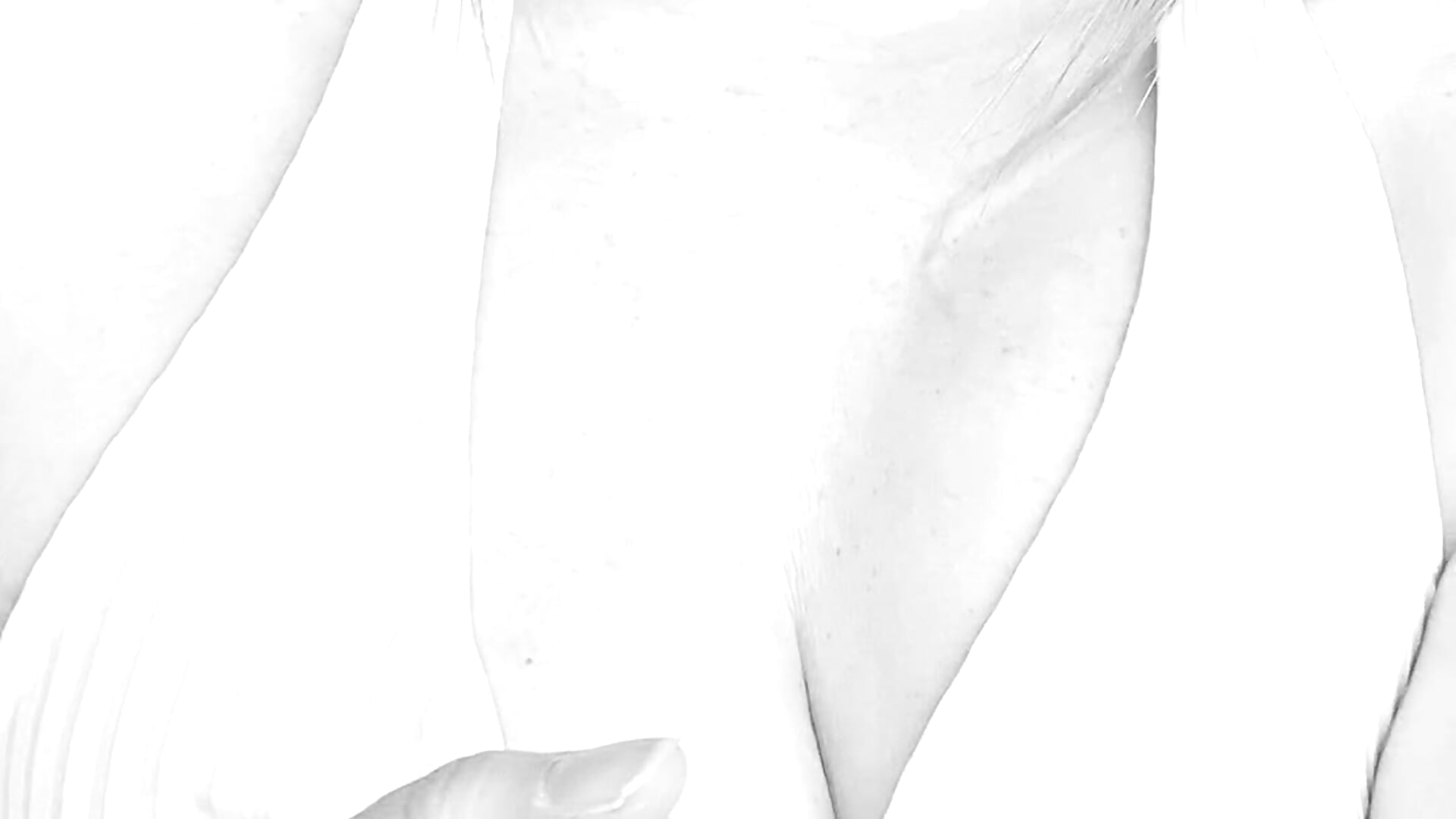 Ptits seins - video by TokyoAna cam model