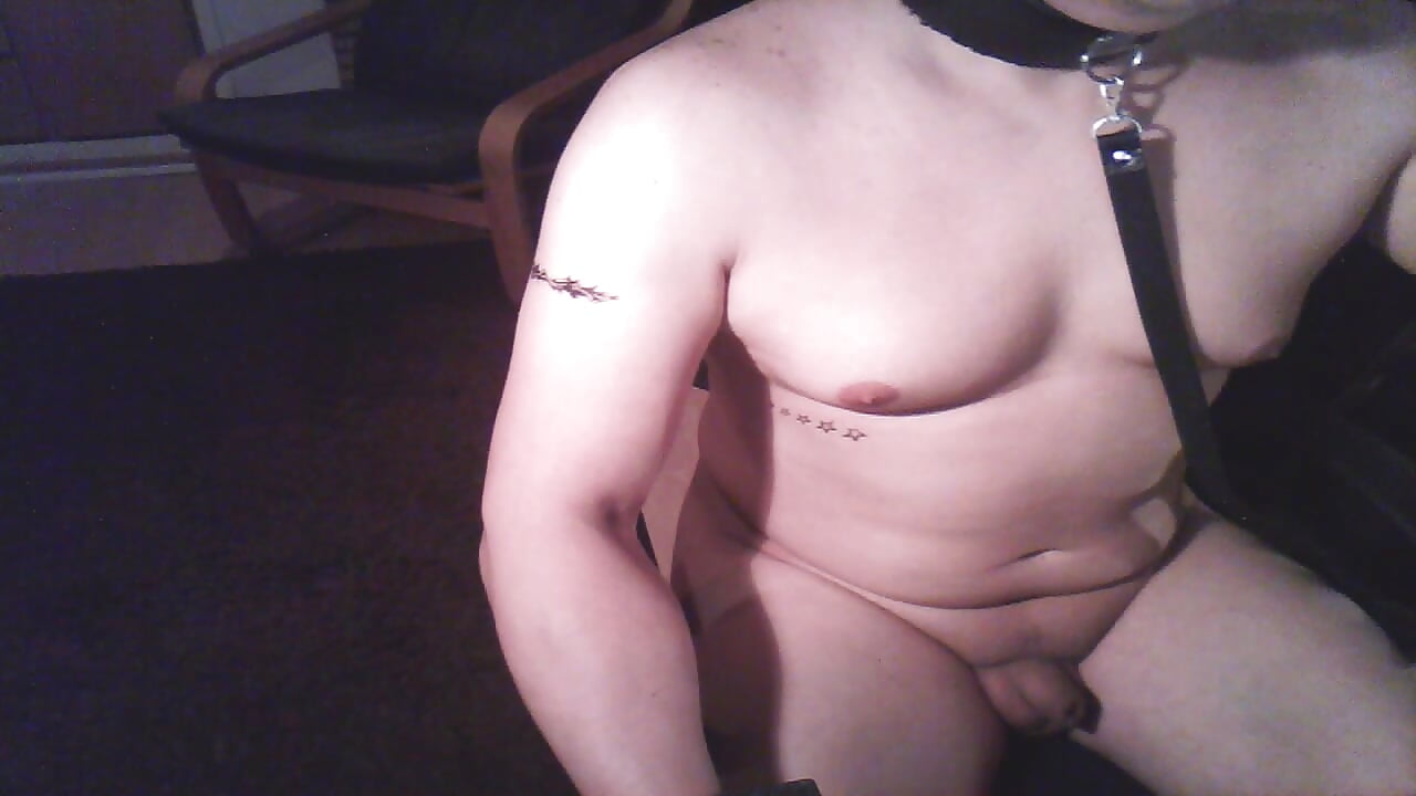 Leash– cabinda252 kameramodell videója