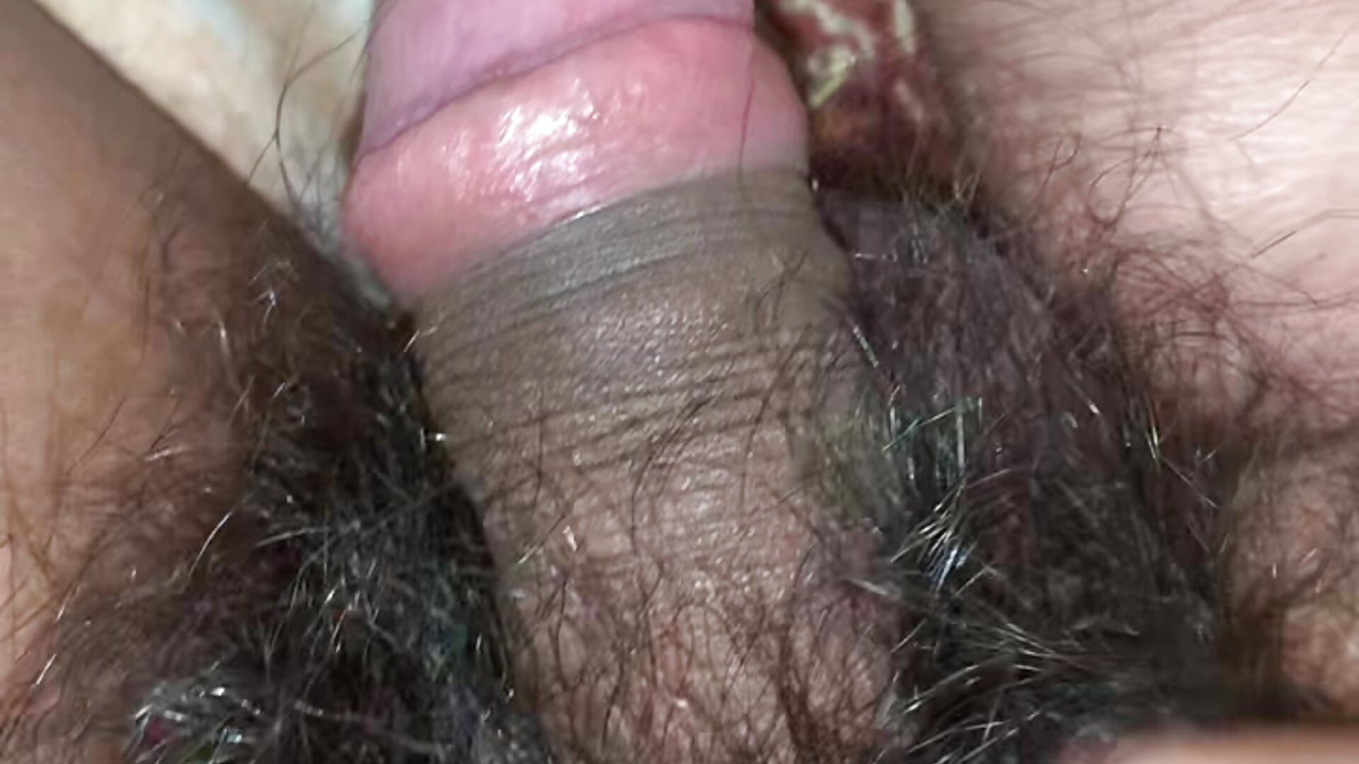 CUMOUTIN - video by HRMADAM cam model