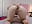 Anal, double penetration with dildo and fingers - video by LORELAIGIVEN cam model