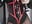 Worship Mistress latex body suit - video by Goddess-Kimberley cam model