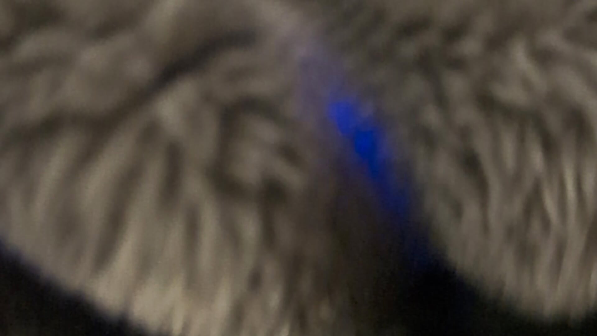 I'm not doing anything 🤫 - video by Leviandluna cam model