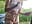 *RISKY* Outdoor 9min - video by CutieEmy cam model