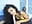 WANDERFUL DEEPTHROAT - video by GiaFaaris cam model