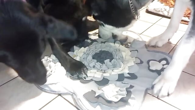 Grazie mille Matteo per questo 🎁 - video by VanessaDoyle cam model