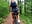 ass in shorts🍑 - Sexy__Vibe 님의 동영상