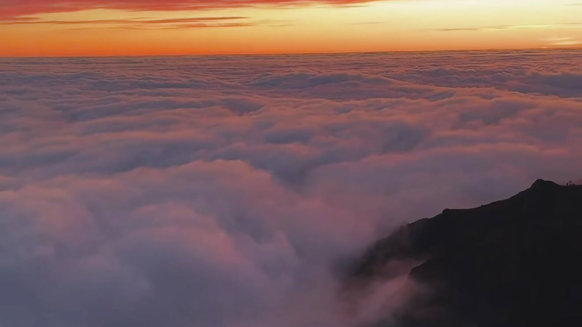 Madeira doesn’t let you go. Even when you’ve already let go of it.🥰 - 視頻由 KateJonson 主播提供