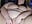 Squirt squirt - video by NaughtyPrincessJasmine cam model