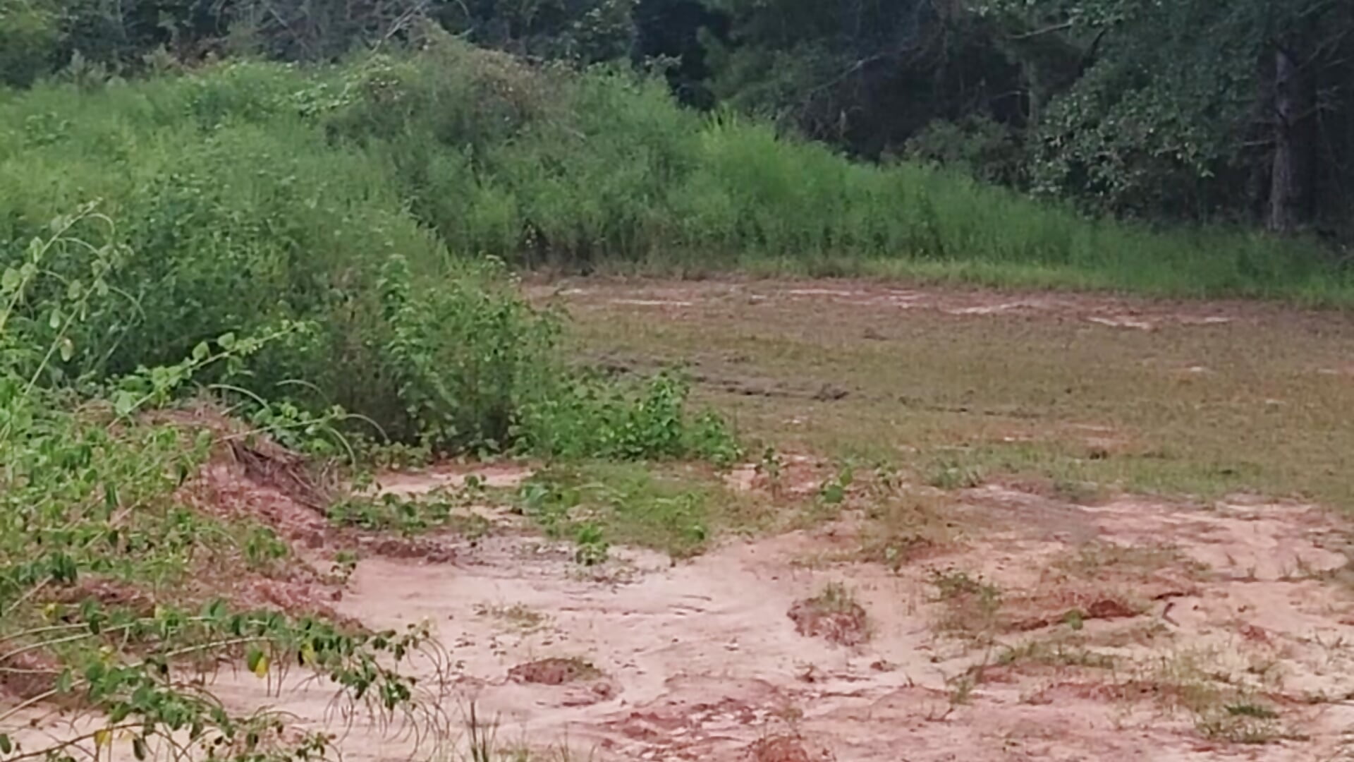 Lawnmower clothed - video by bigboobfun1 cam model