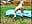 wateringthewoodspart2 - video di KaylaWest