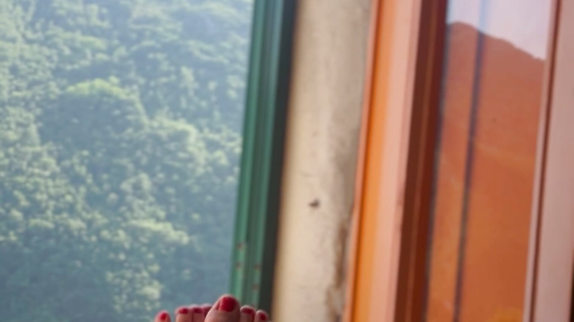 🌶️👣🌼