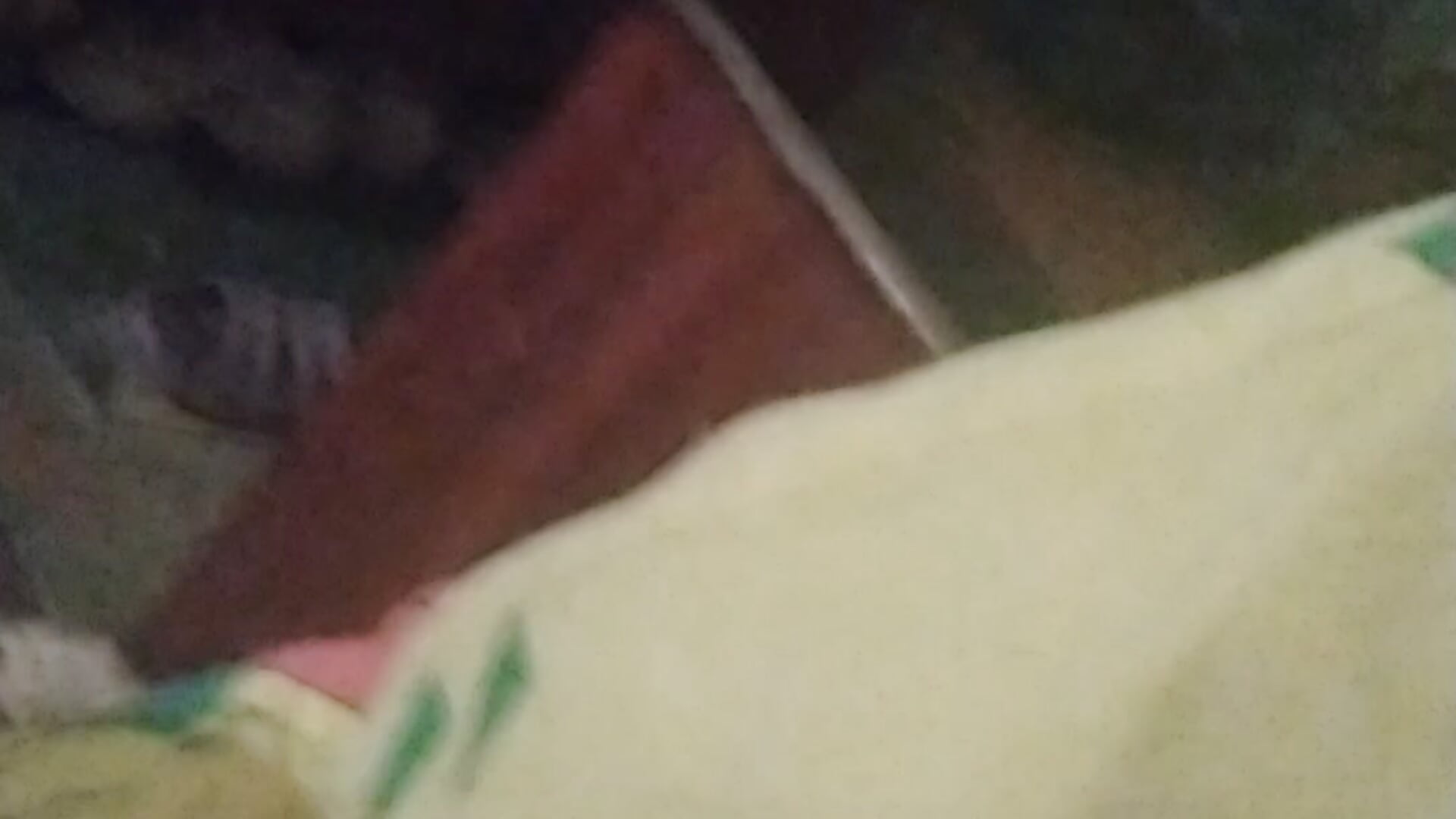 my orgasm - video by Tamilashaa cam model