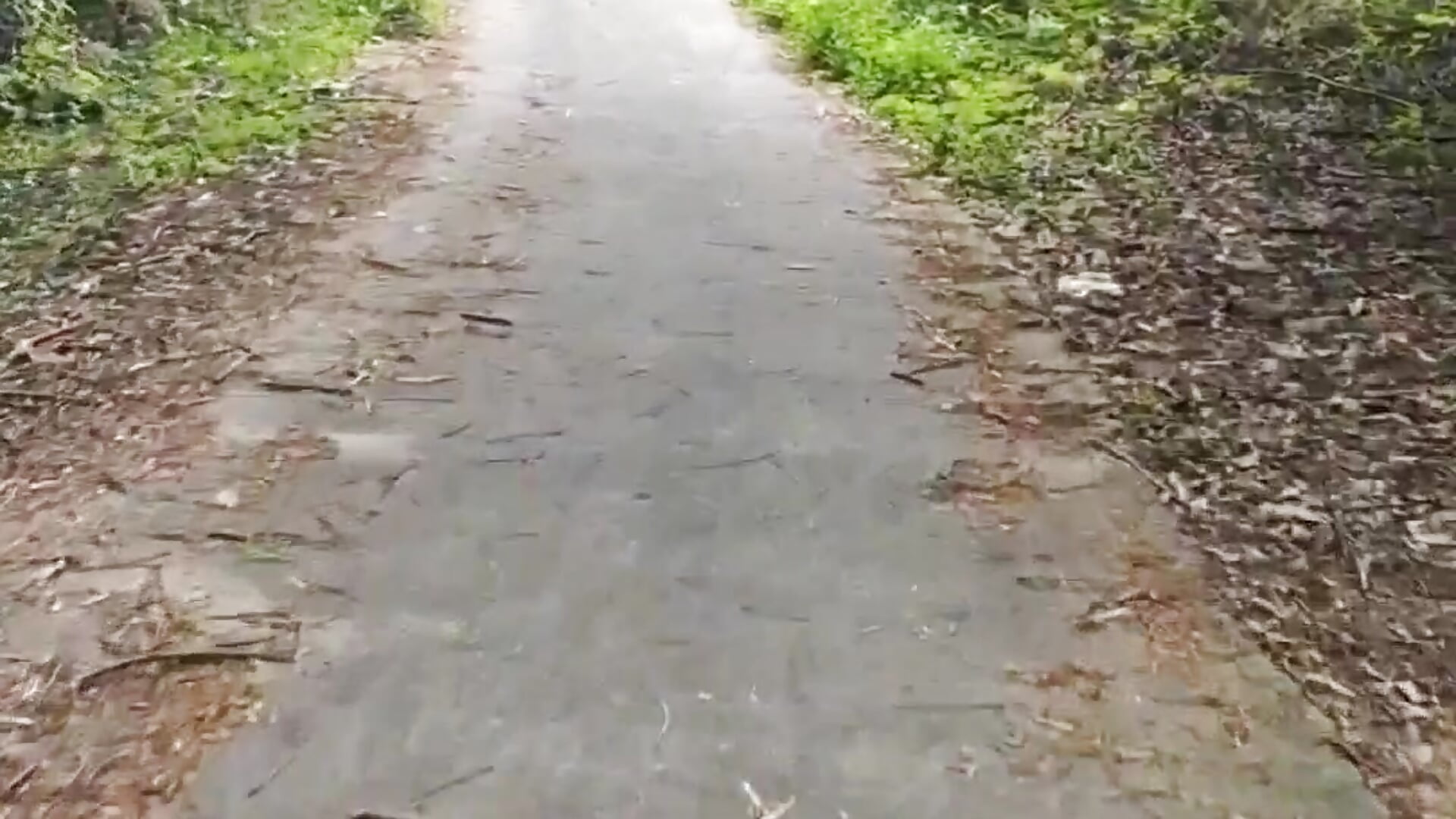 On weekends, playing loser, jet, tidal blowing, and picking my butt to ej  周末在户外的山上野裸天体玩屌喷射潮吹及抠屁眼射精 - video by Alexandertoms cam model