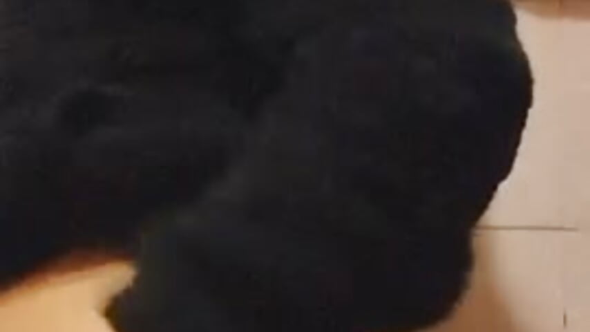 لعب بطيزي وطيزي شالحة مع وجهي - فيديو من lololara20300 موديل الكام