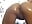 OILY ASS - video by annablisss cam model