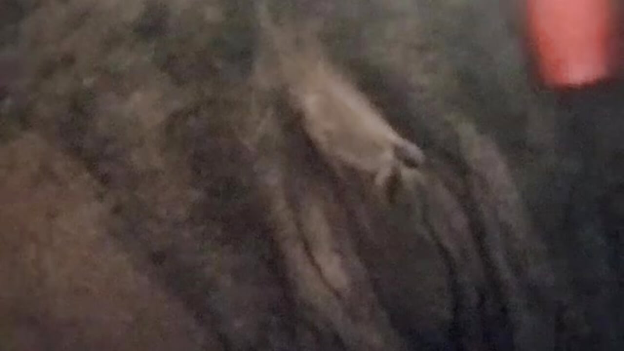 lil pretty ass pussy - video by markquanna cam model