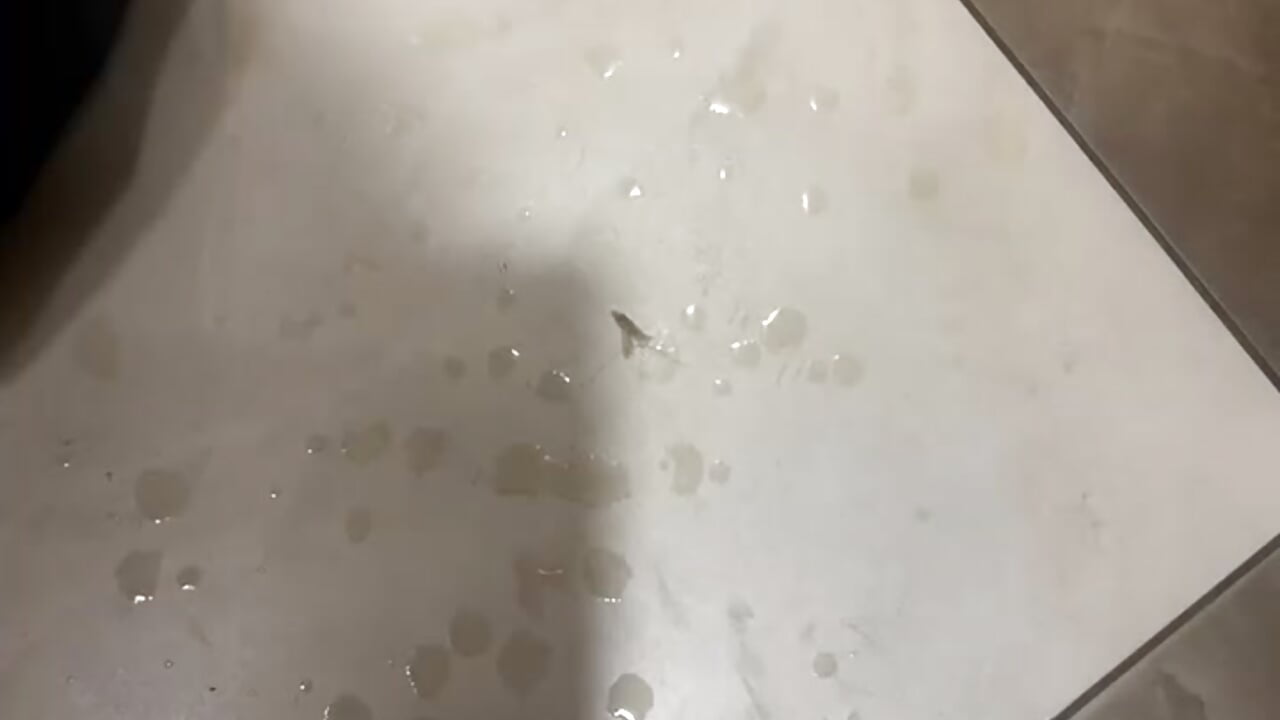 Squirt💦Naked🔥Fun😈 - Vídeo de CrazzyChicks, modelo de vídeos