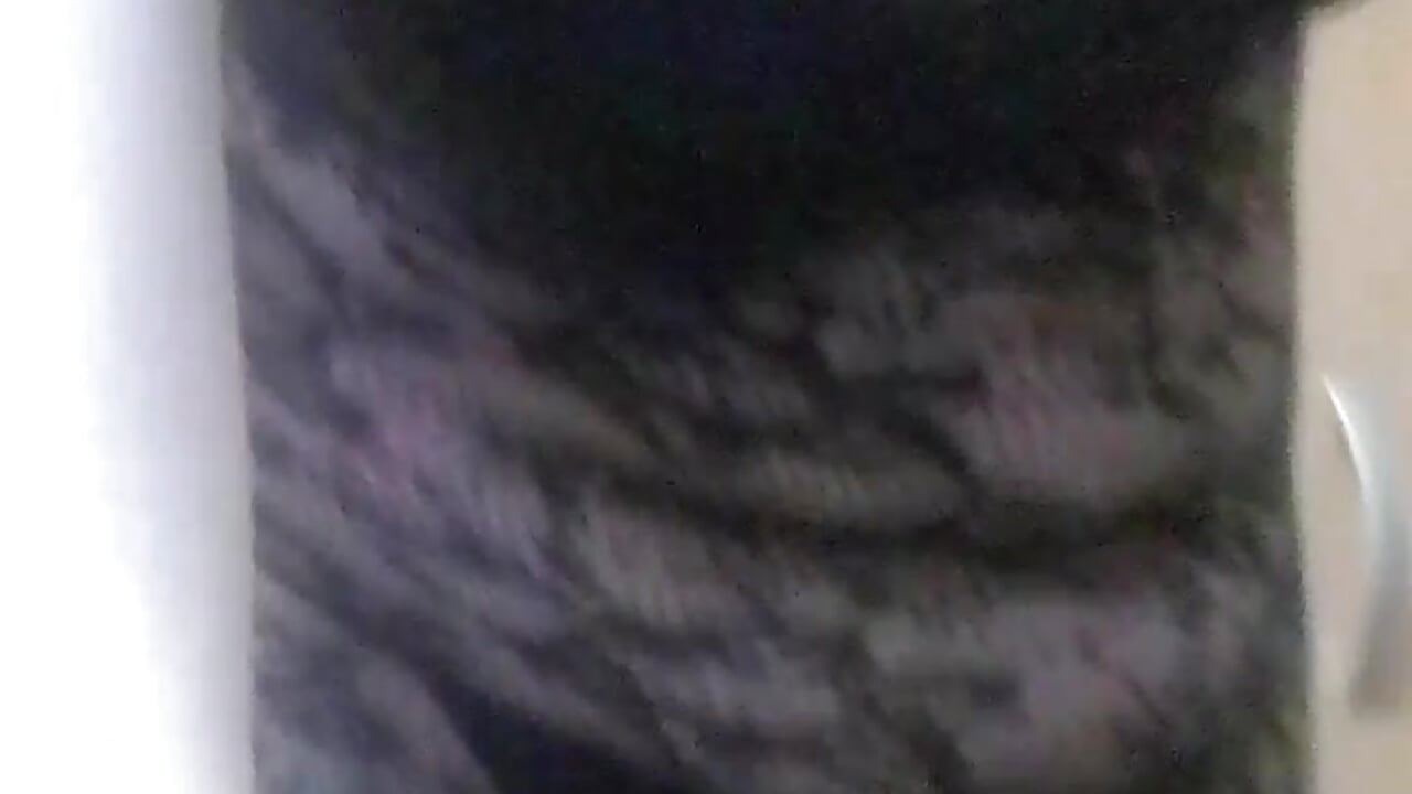 appear - video av stefanyharper16 cam-modell