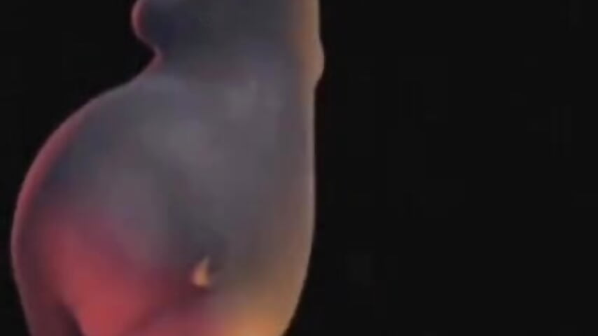 shake u ass)) - فيديو من GingerFoxy موديل الكام