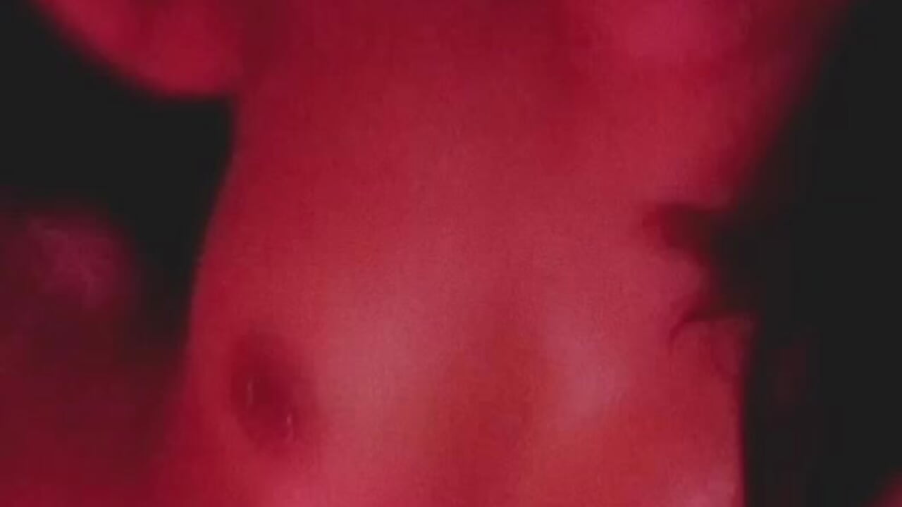 Body Tease of this hot Girl🔥