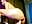 Dildo play&Rider - video by jin__ray cam model