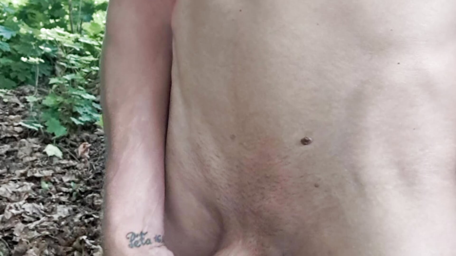 20230611_074034 - video van ladinek cam-model