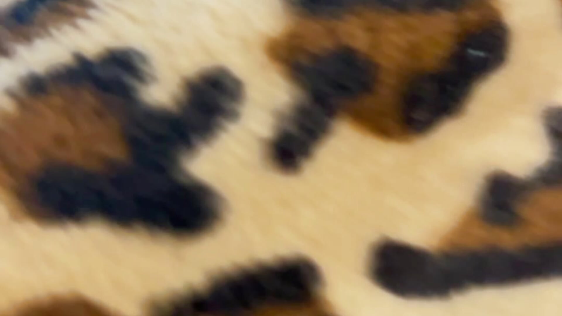 IMG_9292 - video by Jhon_wich cam model