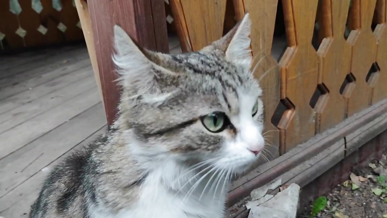 Tell me, does she have beautiful eyes? - vídeo de CeceliaJohnson