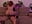 Spot taps out p4 of 4 - video by Godspot cam model
