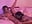 Eating Dark Lavah til she cums - video by Godspot cam model