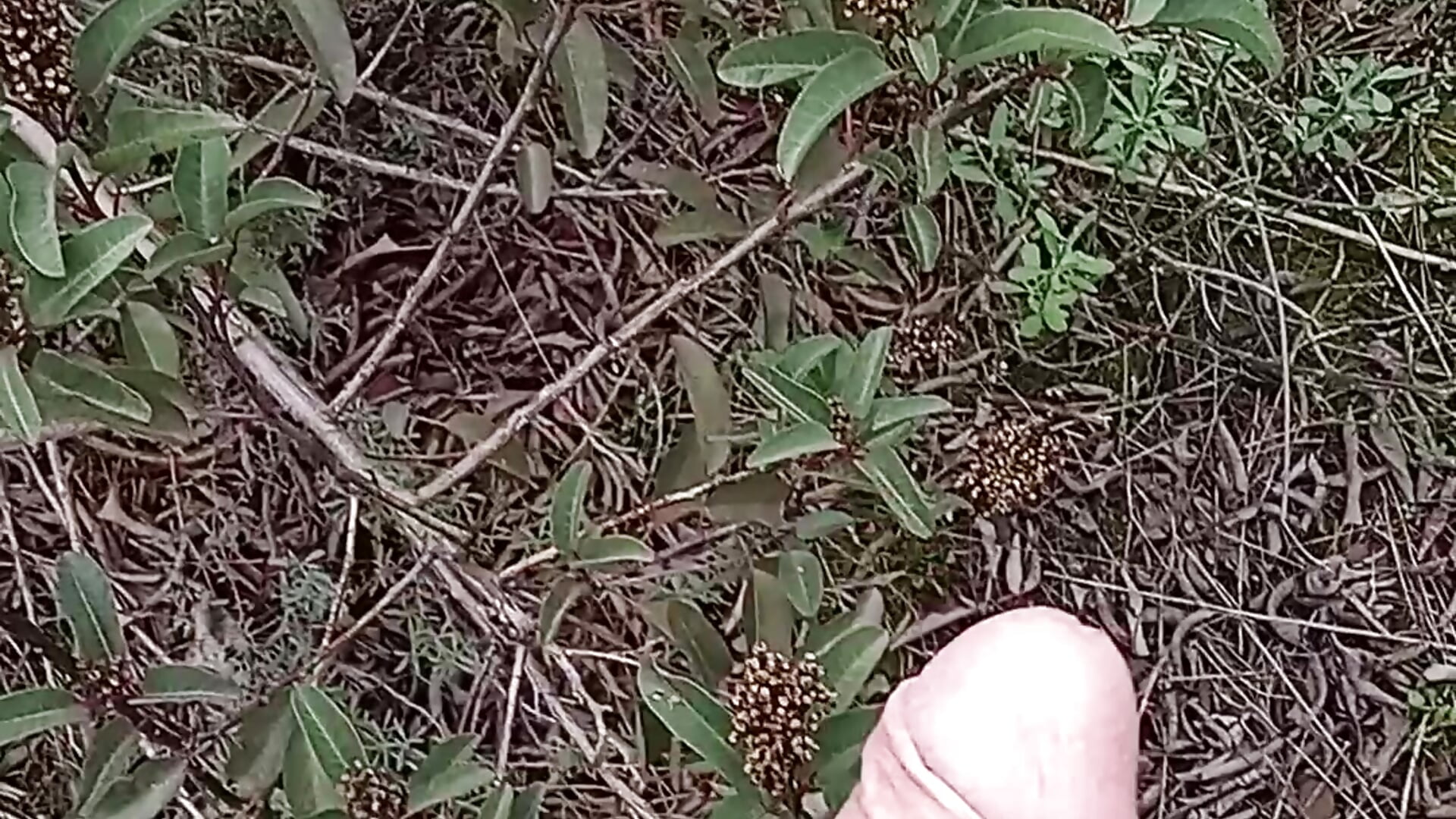 A blast of cum in the brush - video by funcock78 cam model