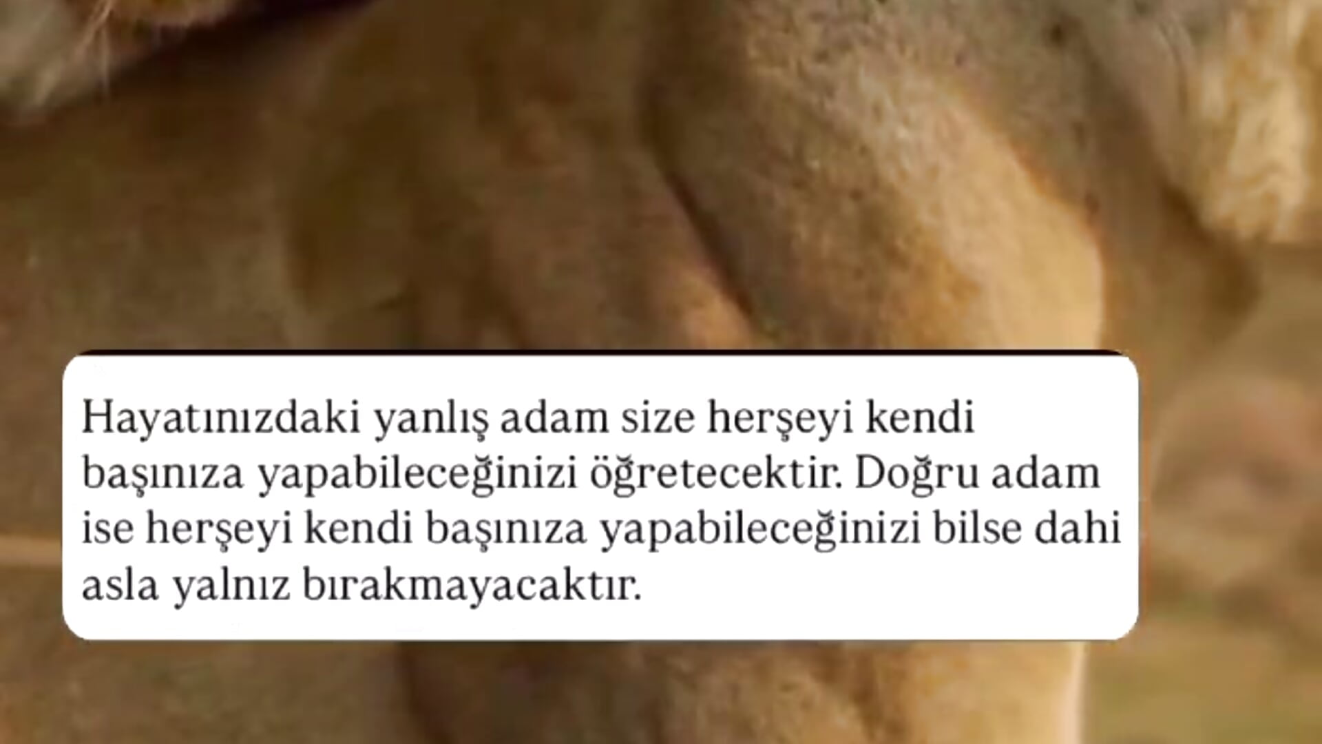 VID-20250723-WA0068(1) - vidéo du modèle de showcams guiltyyy_pleasureee