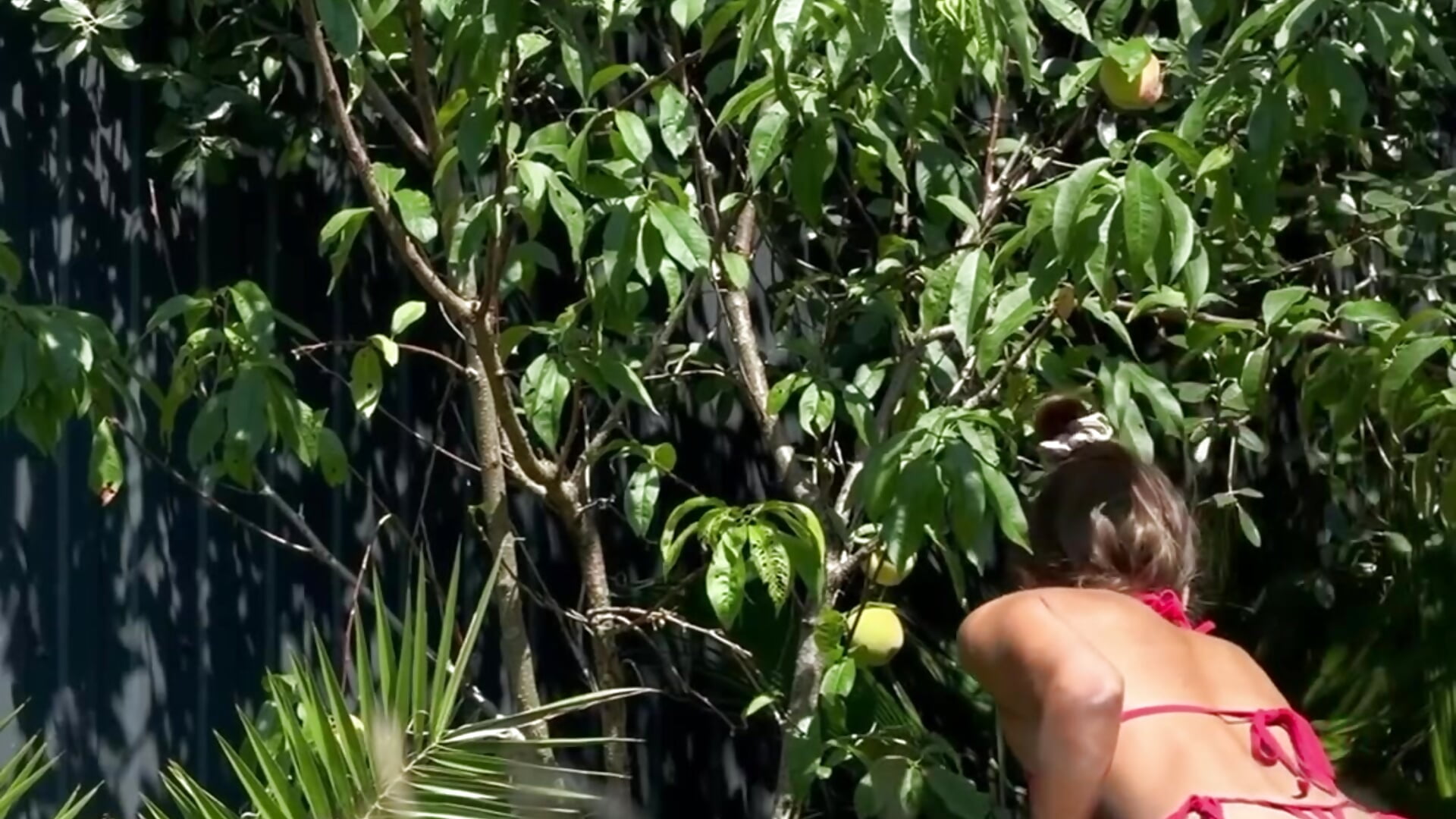 Check out the harvest from my garden! - video by ElizSweet cam model