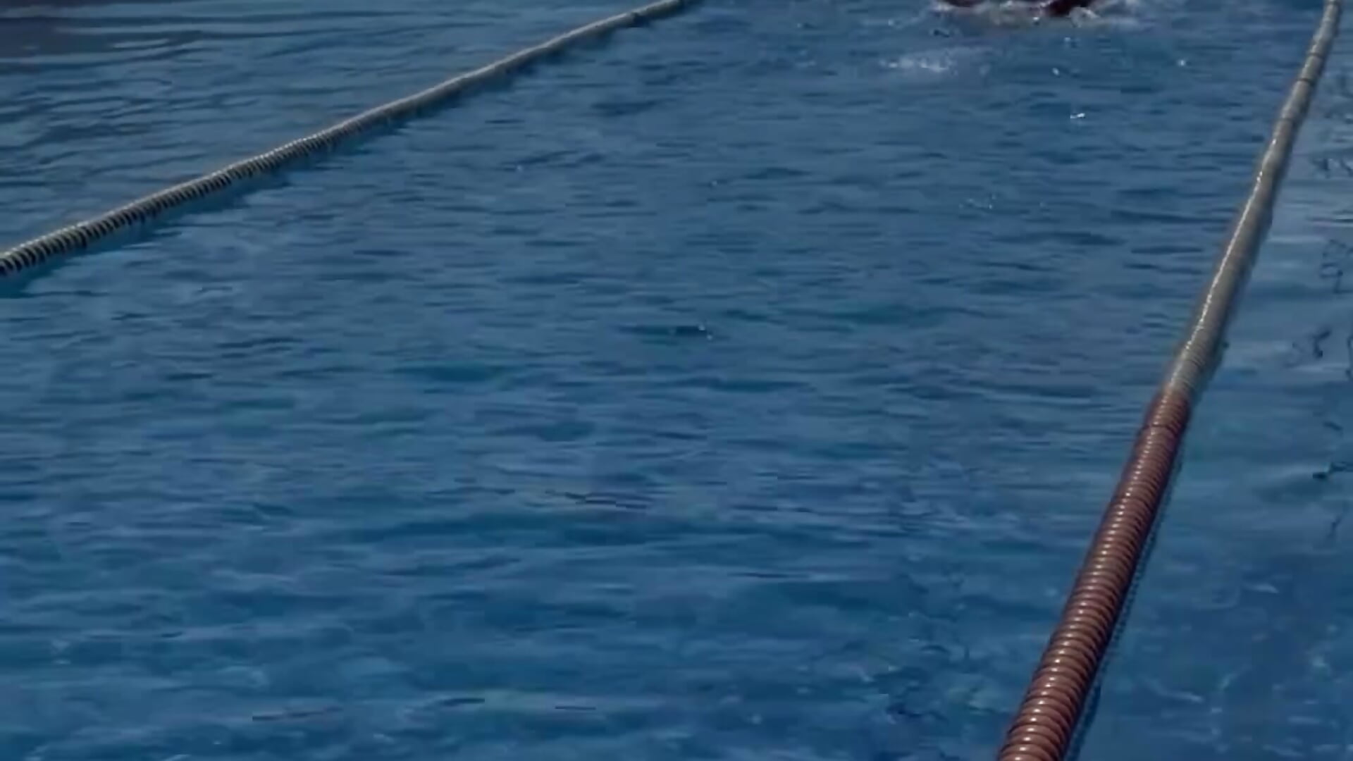 Swimming