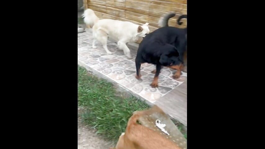 F152496A-1BAB-4FBA-88D4-E93C129CBF72 - video od modelky/modela Redlu_1