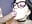 8 Facials ( Clips from the "40 Cumshots. All Cumshots Of 2022. Compilation" video ) - PrettyAshley_QueenDasha 님의 동영상
