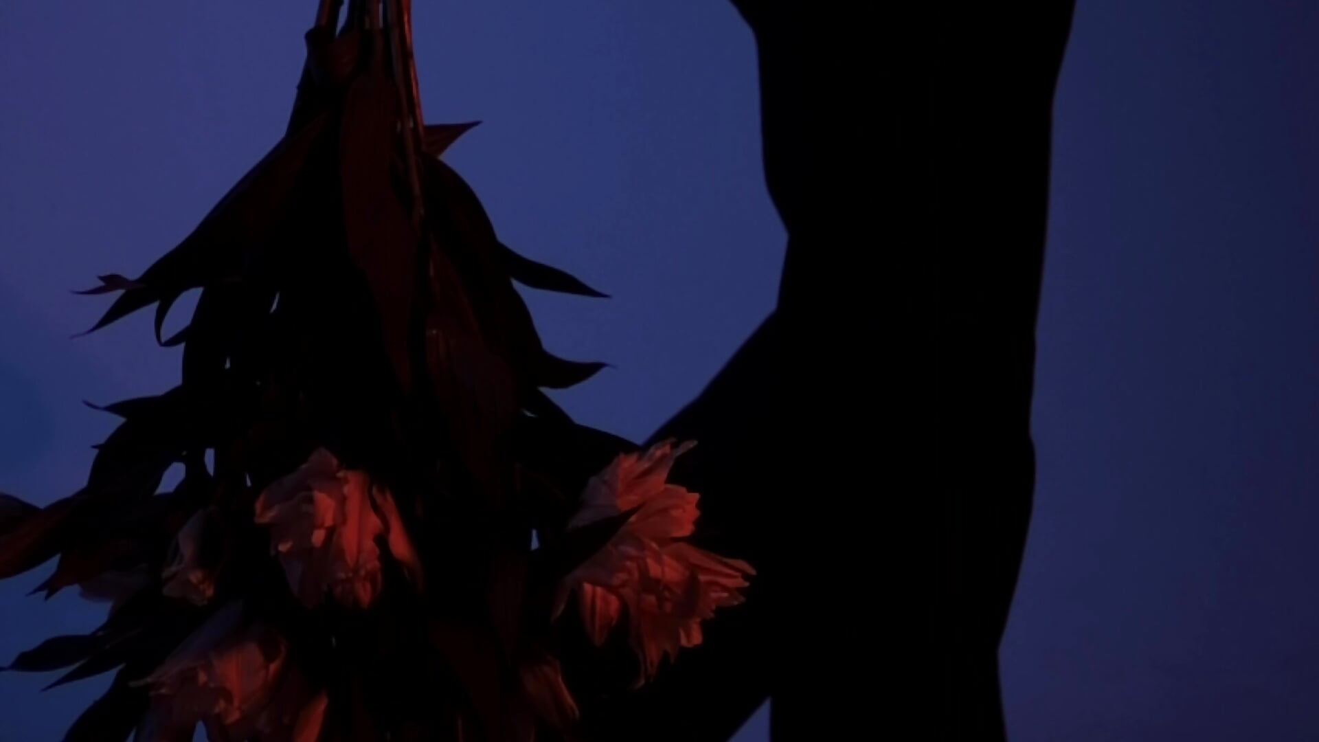 Can you show me the way that I should move. Show me what I should DO… - Camilla_Railian 캠 모델의 동영상