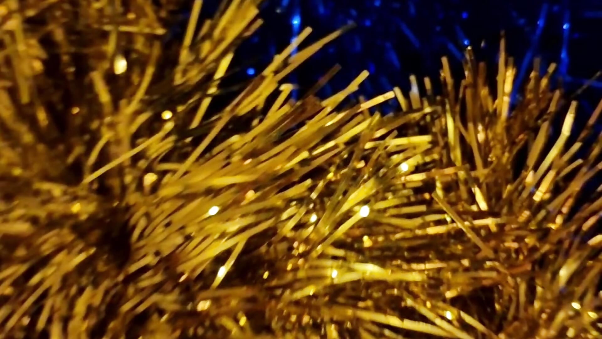 Christmas tree - video by TinniAngel cam model