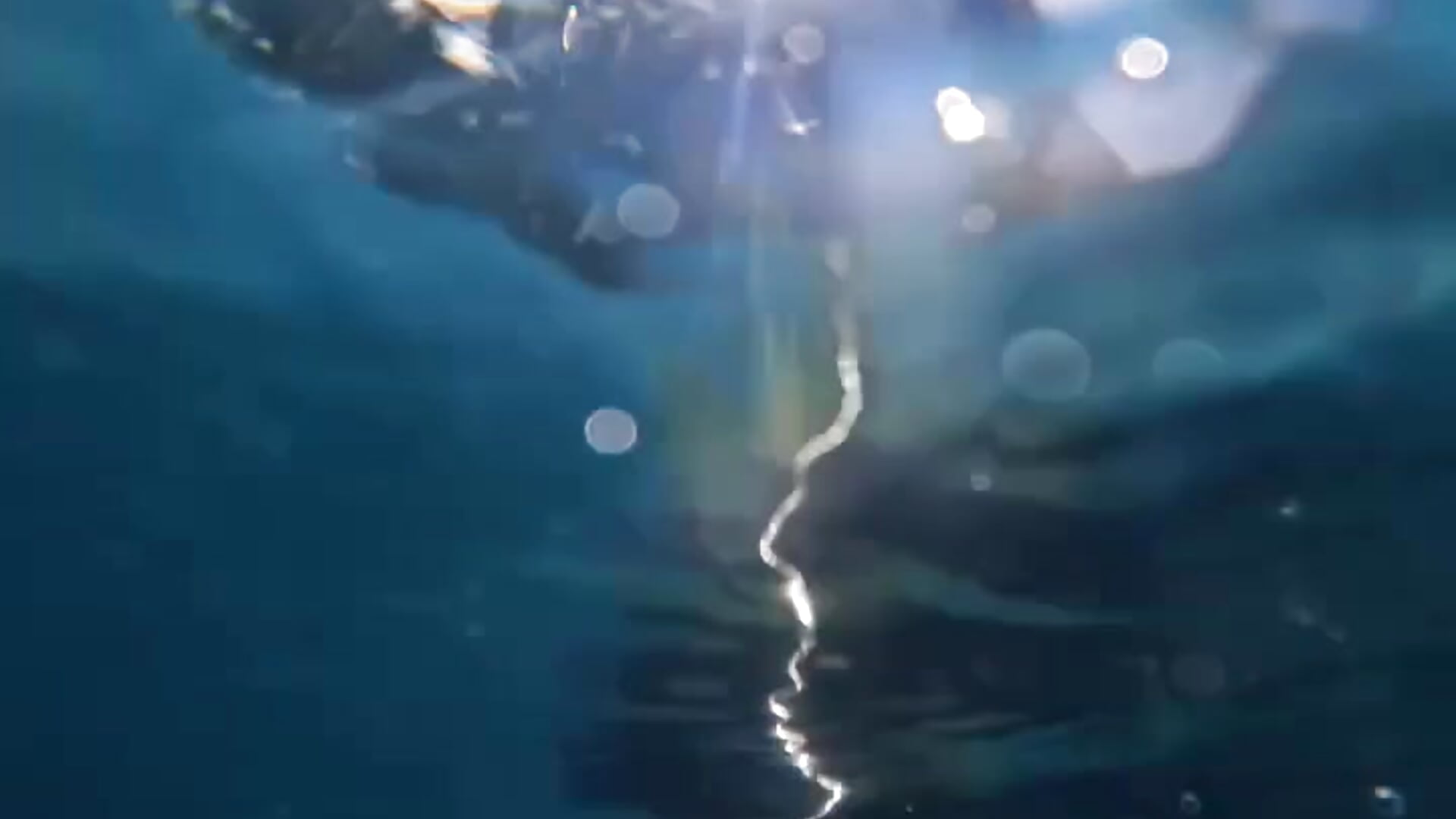 🐬 - video by brenda_moris01 cam model