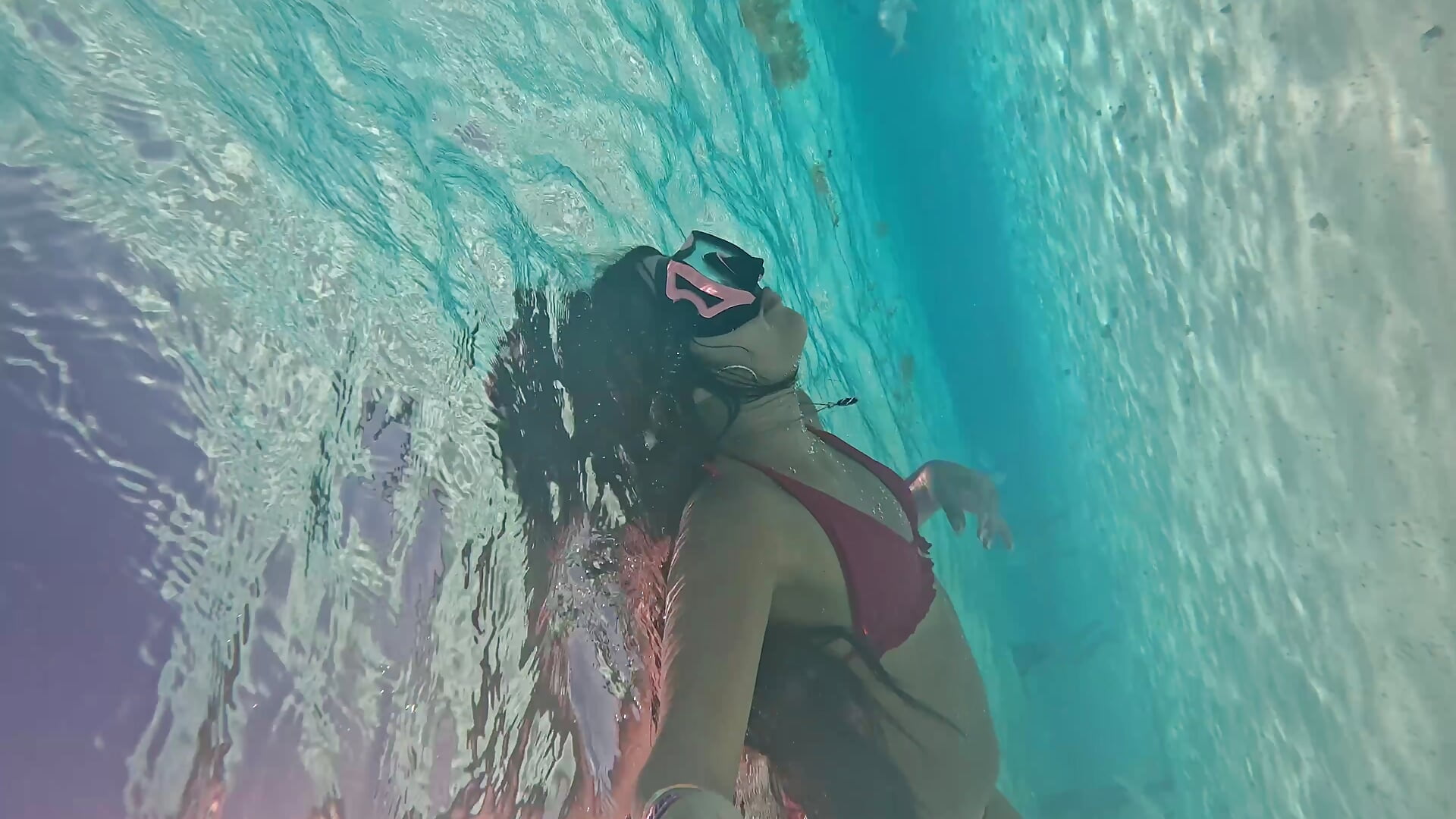 🐠🌊