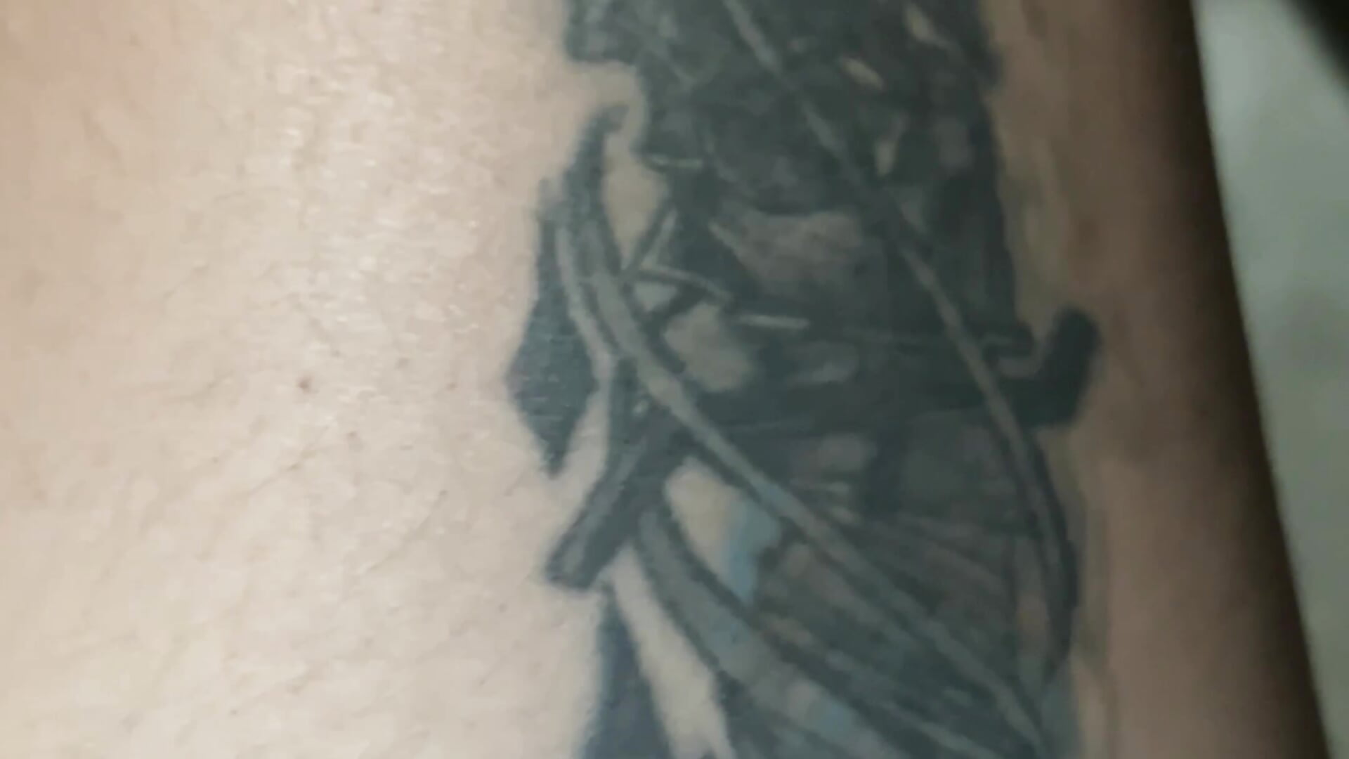 IMG_3549 - video by Dawnlegend cam model