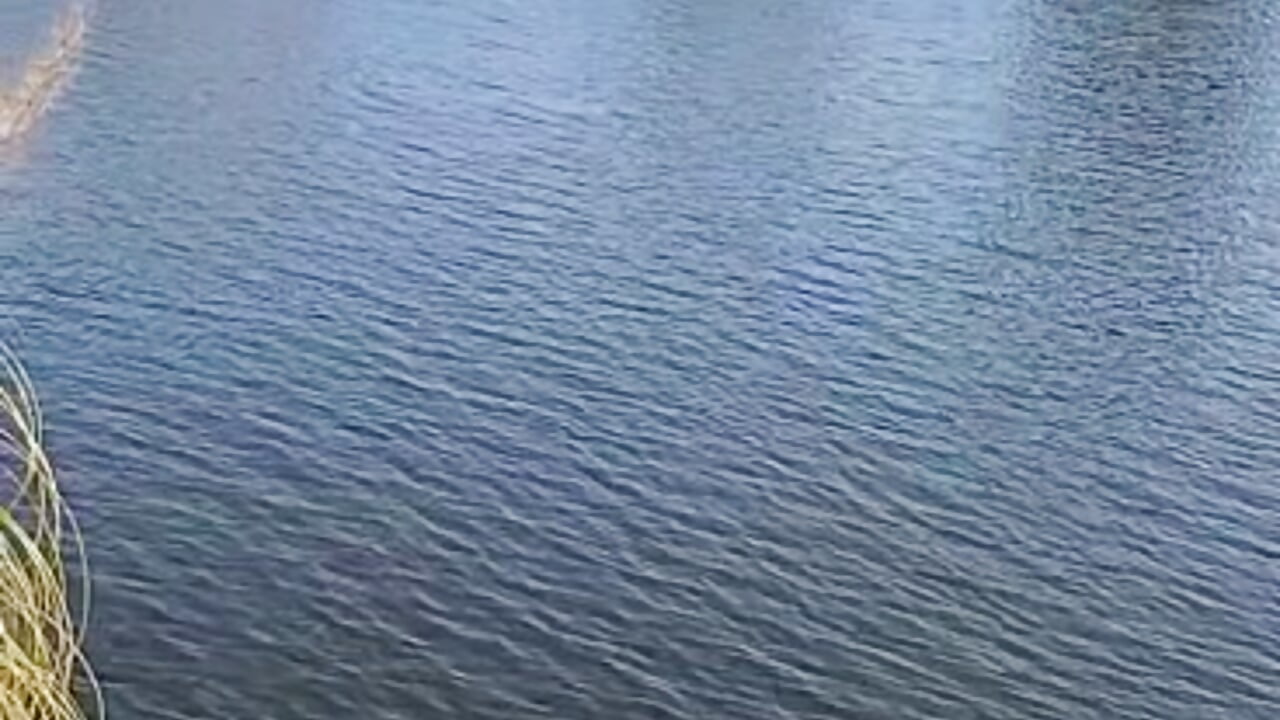 Me fishing!! - video by SxyDivinity cam model