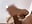 POV CUM BABY - video by prety_sharick cam model
